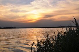 Doar ... NATURA - 4